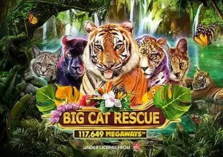 Big Cat Rescue Megaways screenshot